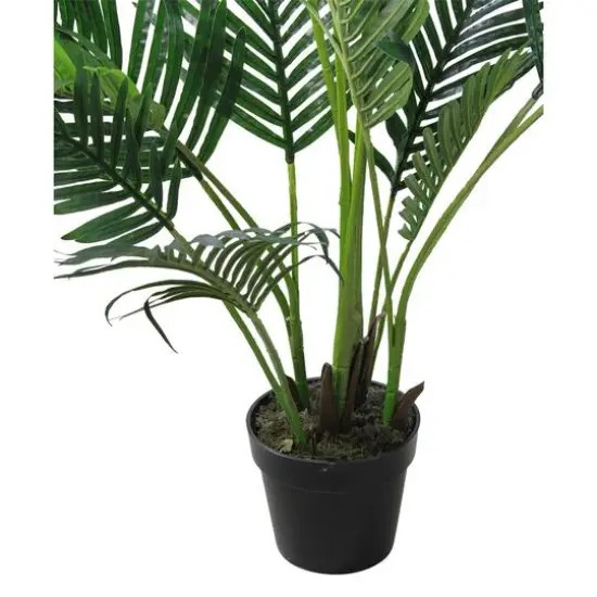 5.75ft. Green Potted Areca Palm Tree {3}