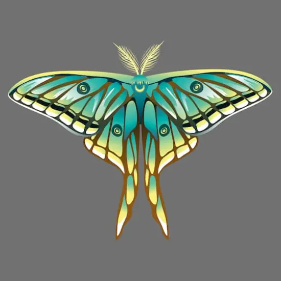 4" x 4" Moths Canvas Painting Kit by Craft Smart&reg; {1}