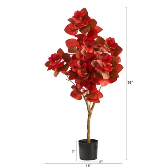 3ft. Potted Autumn Pomegranate Tree {4}