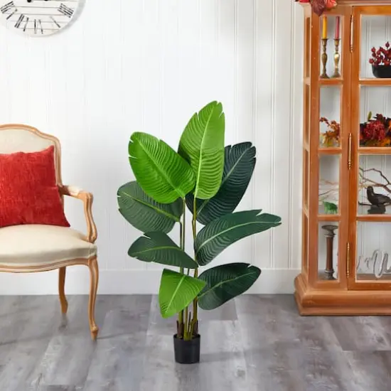 3.5ft. Potted Travelers Palm Tree {4}