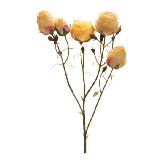 22" Blush Yellow Rose Bud Sprays, 6ct. {4}