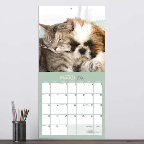 2026 Furry Friends Wall Calendar {4}