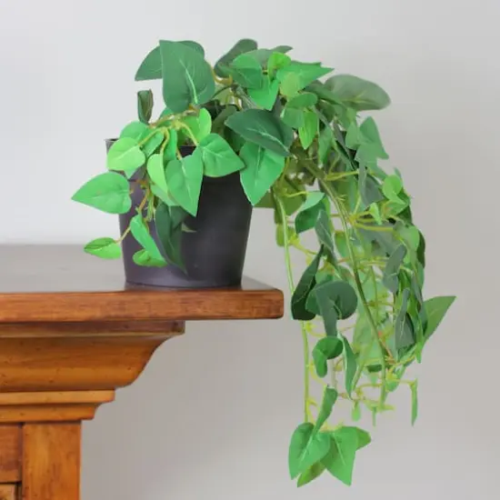 8" Decorative Green Vine Foliage in Brown Pot {3}