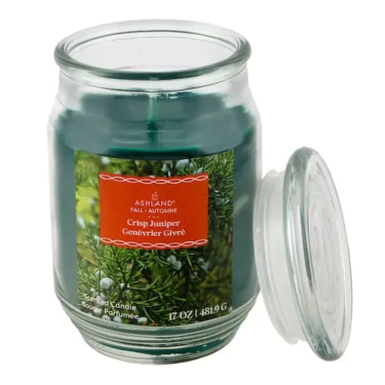 17oz. Fall Scented Jar Candle by Ashland&reg; Crisp Juniper {3}