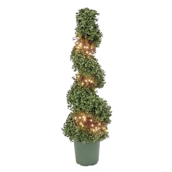 3.5ft. Pre-Lit Boxwood Spiral Topiary {1}