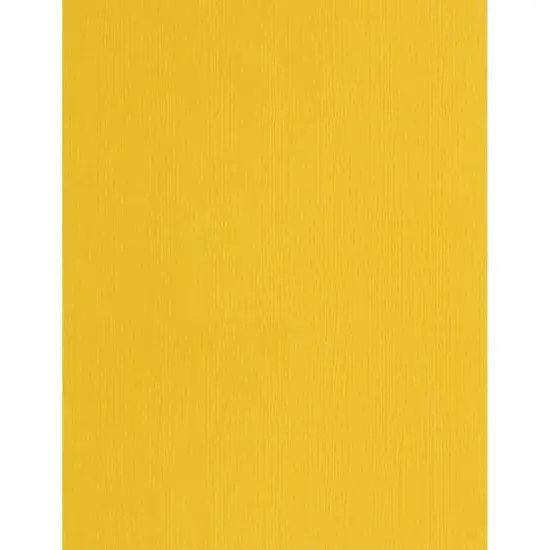 PA Paper&trade; Accents 8.5" x 11" 73lb. Muslin Cardstock Paper, 1,000 Sheets Daffodil {1}