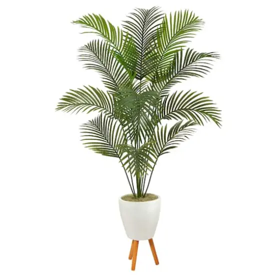 6.5ft. Golden Cane Palm Tree in White Planter with Stand {1}
