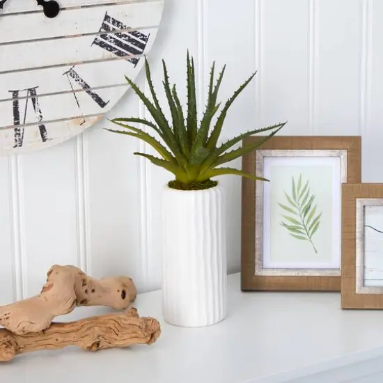 15" Aloe Plant in Decorative White Planter {4}