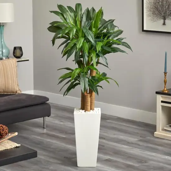 5ft. Cornstalk Dracaena Plant in White Tower Planter {3}