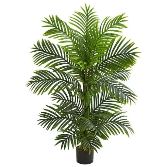 4ft. Potted Bamboo Palm Tree {1}