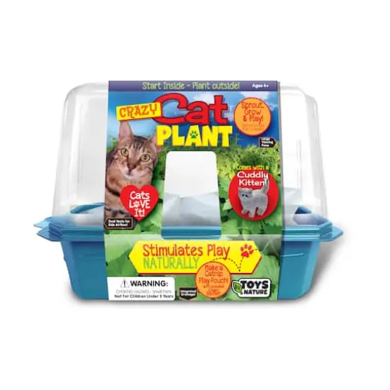 Miniature World - Crazy Cat Plant {1}