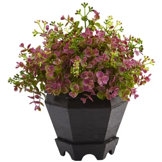 13in. Sedum & Eucalyptus Plant in Black Hexagon Planter {1}