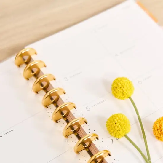 The Classic Happy Planner&reg; Textured Canvas {4}