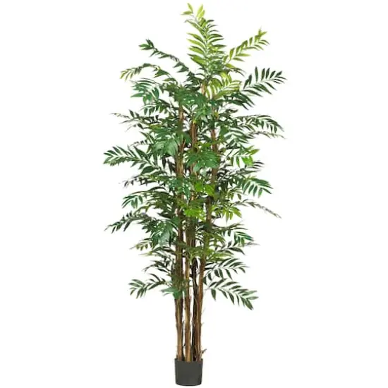7ft. Potted Bamboo Palm Tree {1}