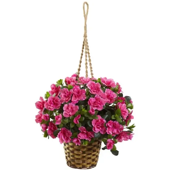 2.5ft. Pink Azalea Flowering Hanging Basket {1}