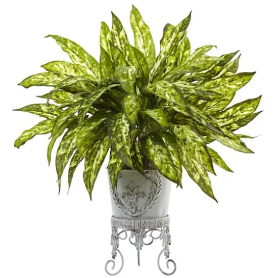 24" Aglaonema with White Metal Planter {1}