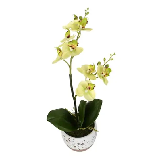 White Artificial Mini Moth Orchid in Planter Set {3}