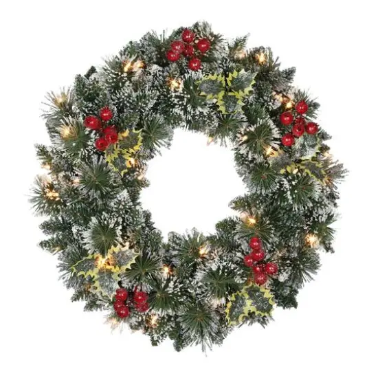 24" Pre-Lit Snowy Silverton Pine Wreath {1}