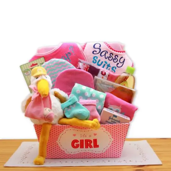 A Special Delivery Pink New Baby Gift Basket {1}