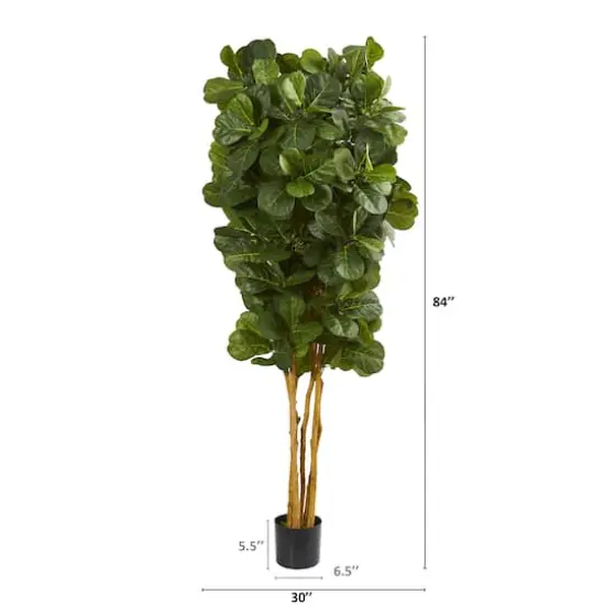 7ft. Potted Fiddle Leaf Fig Tree {3}