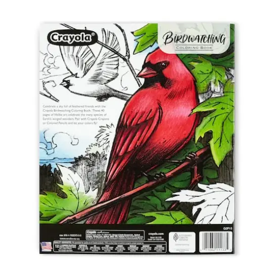 Crayola&reg; Bird Watching Coloring Book {6}
