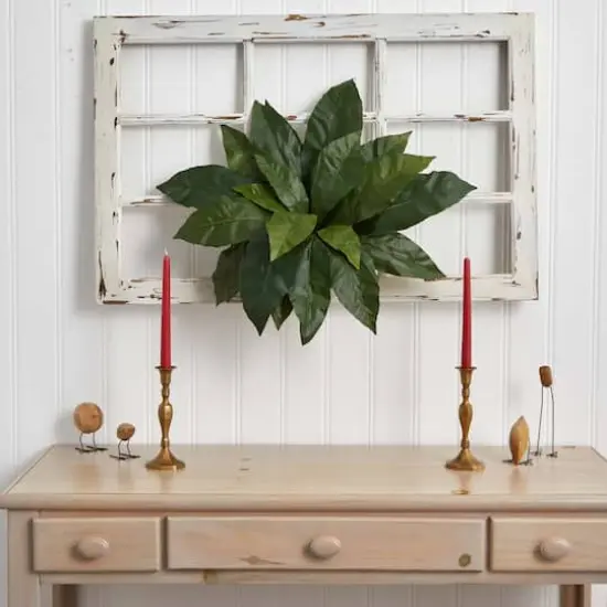 22" Bird's Nest Fern Plant, 3ct. {3}