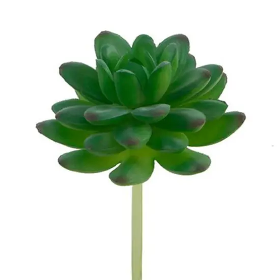 Flora Bunda&reg; Stonecrop Succulent Pick, 12ct. {1}