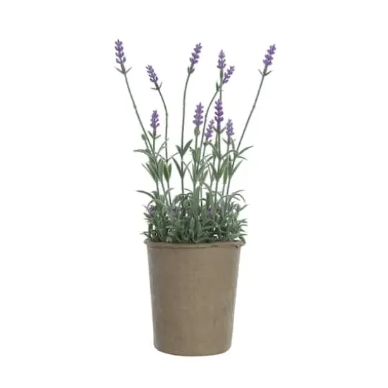 Hello Honey&reg; 13.5" Faux Lavender Plant in Paper Pot {1}