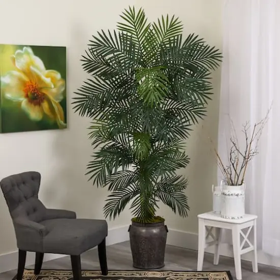 6.5ft. Golden Cane Palm Tree in Metal Planter {4}