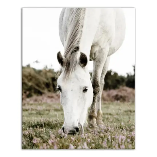 Grazing White Horse 16" x 20" Canvas Wall Art {1}