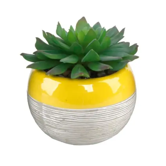 Flora Bunda&reg; Succulent In Two Tone Pattern Yellow Ceramic Pot {1}