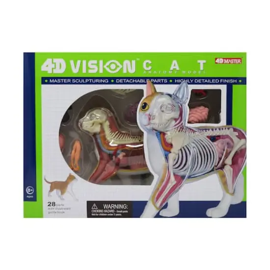 4D Vision&trade; Orange Cat Anatomy Model {1}