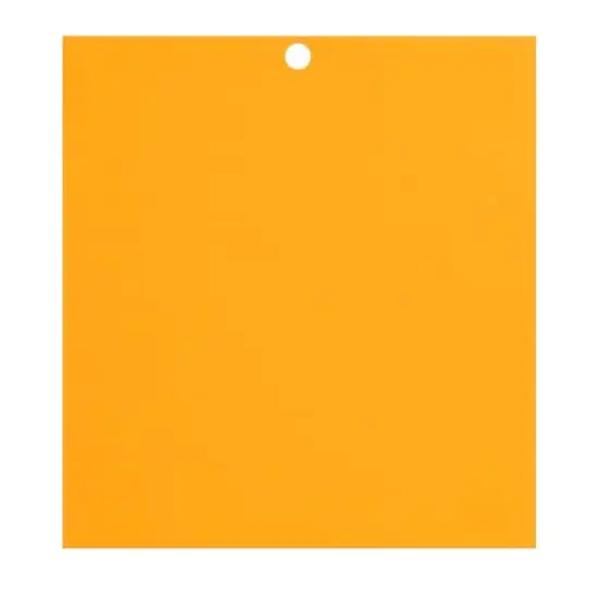 Citrus 6" x 6.5" Cardstock Paper by Recollections&trade;, 100 Sheets {5}