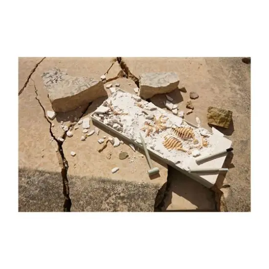 Dig It Up! - Dino Model: Tyrannosaurus Rex {8}