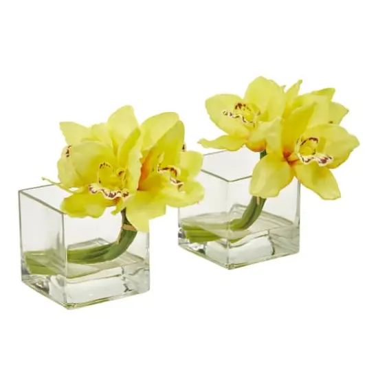 8" Boat Orchid Arrangement in Glass Vase, 2ct. Yellow {1}