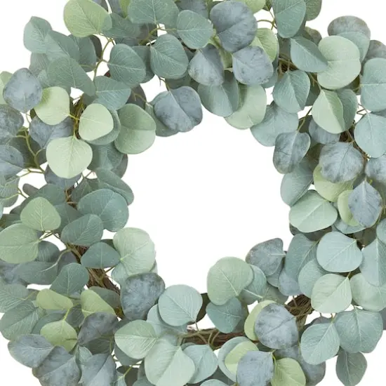 22" Eucalyptus Wreath by Ashland&reg; {3}