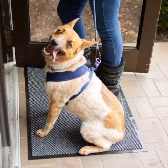 DII&reg; Gray & Black Walk Off Utility Runner Doormat, 24" x 36" {6}