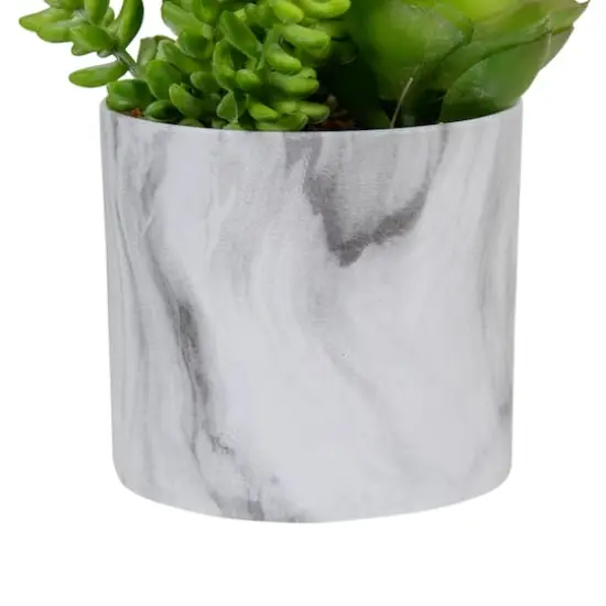 6.5" Green Succulent Arrangement in Faux Marble Pot {5}