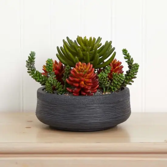 12in. Succulent Garden in Stone Bowl {3}