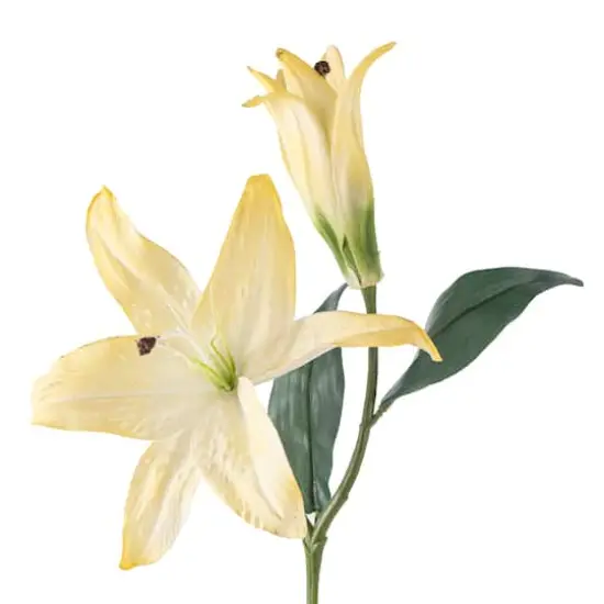 Casablanca Lily Stem by Ashland&reg; White {4}