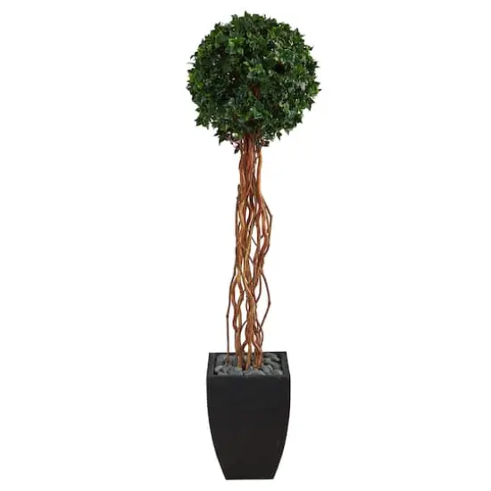 5.5ft. English Ivy Single Ball Artificial Topiary Tree in Black Planter {1}