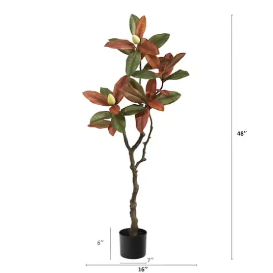 4ft. Potted Fall Magnolia Tree {5}