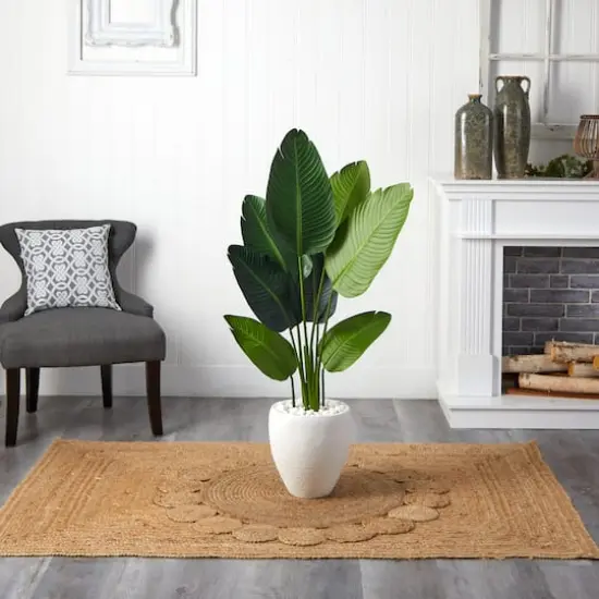 4ft. Travelers Palm Tree with White Oval Planter {4}