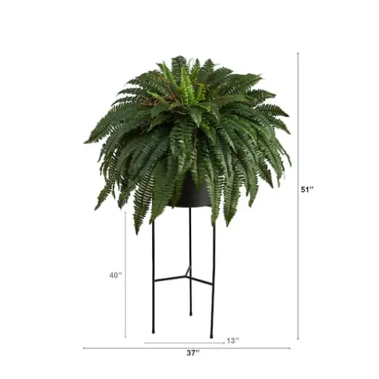 51" Boston Fern Plant in Black Planter with Stand {3}