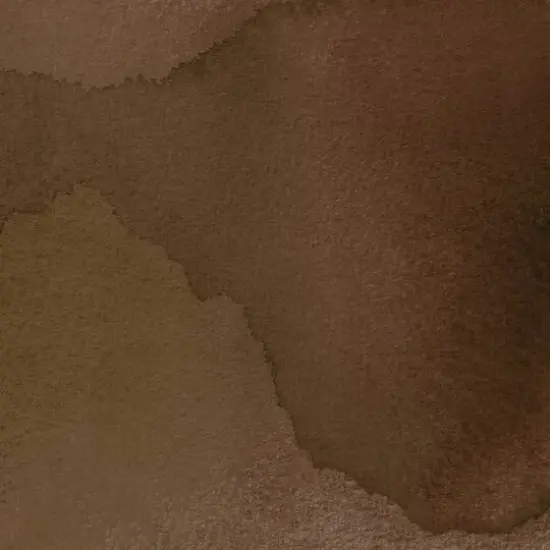 Speedball&reg; 1oz. India Ink Sepia {4}