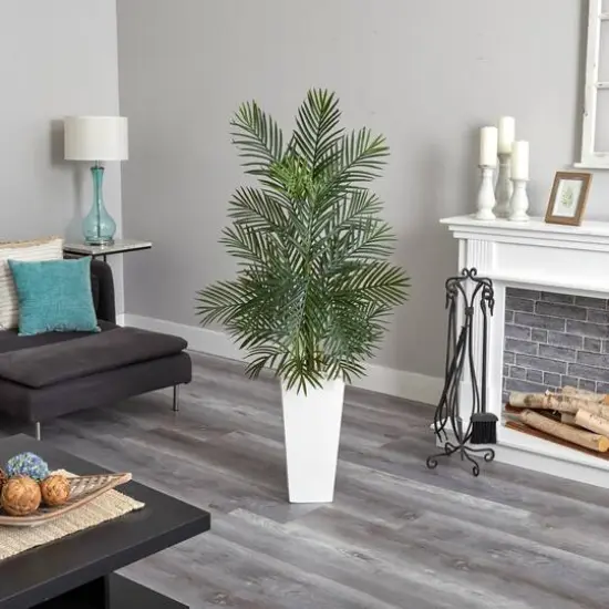 5ft. Areca Palm Tree in White Planter {6}