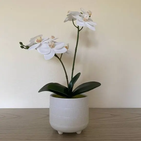 Flora Bunda&reg; 16" Real-Touch Orchid Barcode In Ceramic Footed Pot {4}