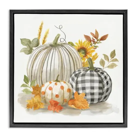 Stupell Industries Patterned Pumpkins Autumn Harvest Floater Framed Art Black {1}