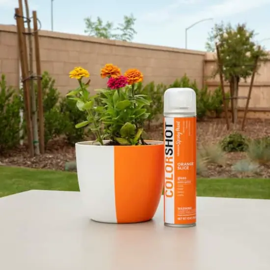 COLORSHOT&reg; Premium Gloss Spray Paint Orange Slice {6}