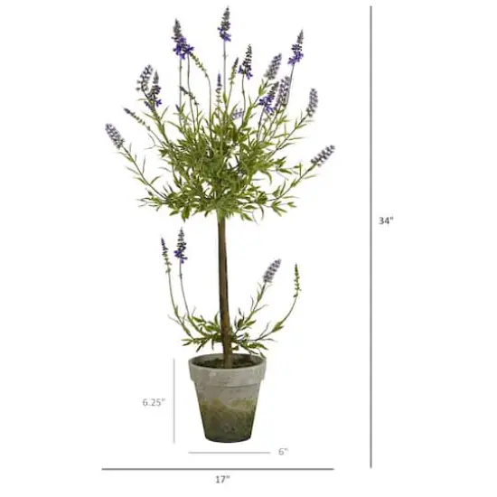 3ft. Potted Lavender Single Ball Topiary Tree {3}